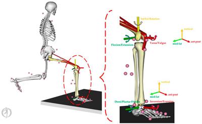 Intelligent prediction of lower extremity loadings during badminton lunge footwork in a lab-simulated court